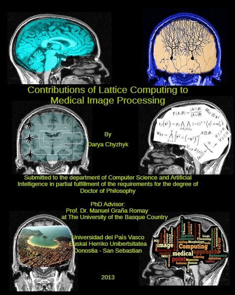 Archivo:Thesis-cover-Chyzhyk.jpg