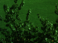 Scene5.png