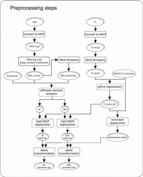 Archivo:DTI-preprocessing-pipeline-Alzheimer.jpg
