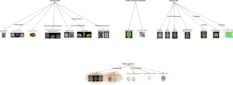 Archivo:Alex-savio-path7087-1-9-6-8-9-3-7-8.png